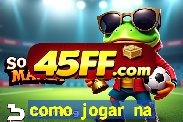 como jogar na teimosinha da lotofacil